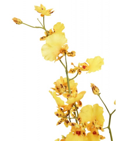 Oncidium artificiel jaune
