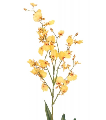 Oncidium artificiel jaune