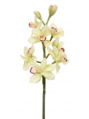Cymbidium artificiel crème