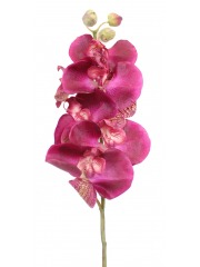 Phalaenopsis artificielle rose