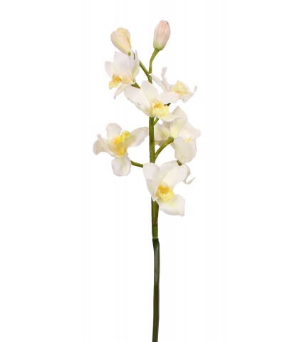 Cymbidium artificiel blanc