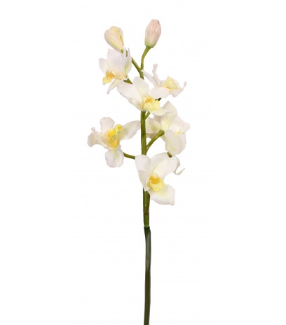 Cymbidium artificiel blanc