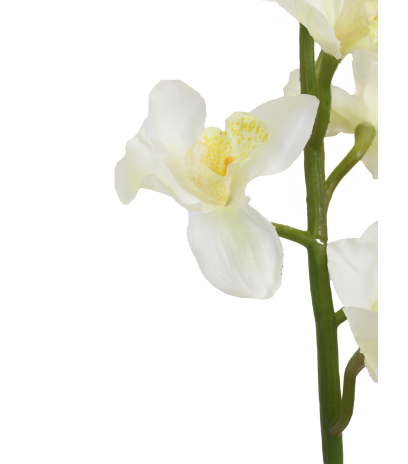 Cymbidium artificiel blanc