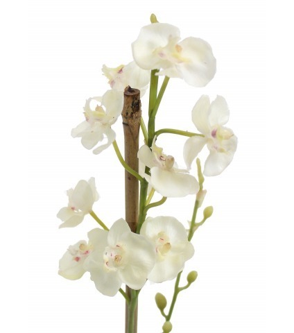 Phalaenopsis artificiel mini