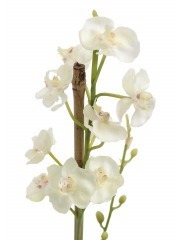 Phalaenopsis artificiel mini