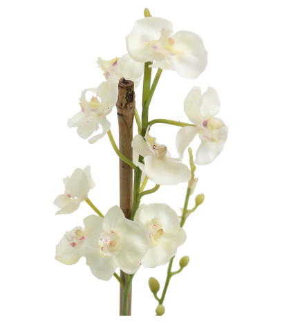 Phalaenopsis artificiel mini