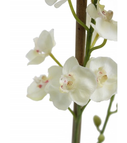 Phalaenopsis artificiel mini