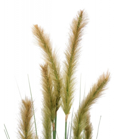 Foxtail artificiel