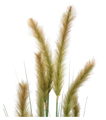 Foxtail artificiel