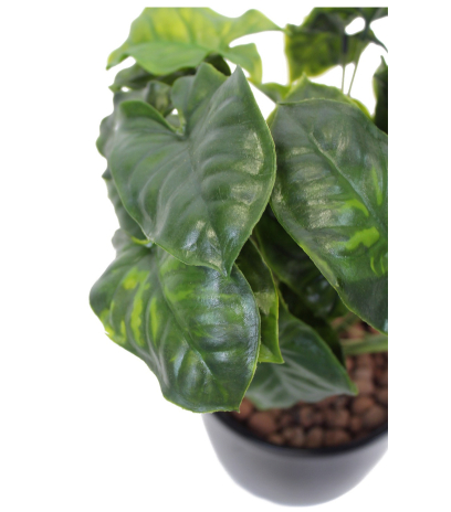 Syngonium artificiel