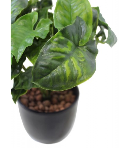 Syngonium artificiel