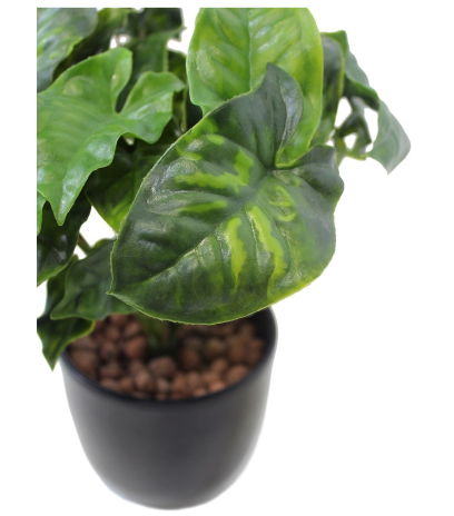 Syngonium artificiel