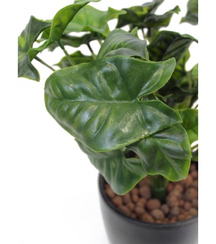 Syngonium artificiel