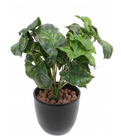 Syngonium artificiel