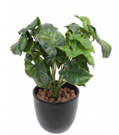 Syngonium artificiel