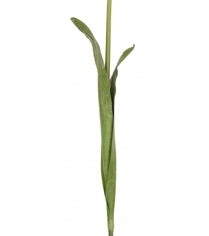 Tulipe artificielle rose