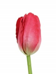 Tulipe artificielle rose