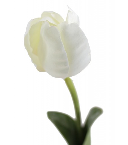 Tulipe artificielle blanche