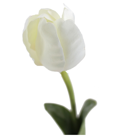 Tulipe artificielle blanche