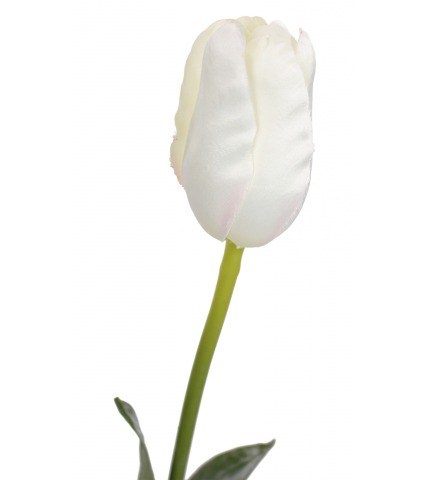 Tulipe artificielle blanche