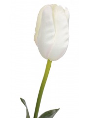 Tulipe artificielle blanche