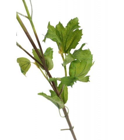 Viburnum artificiel opulus