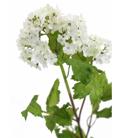 Viburnum artificiel opulus
