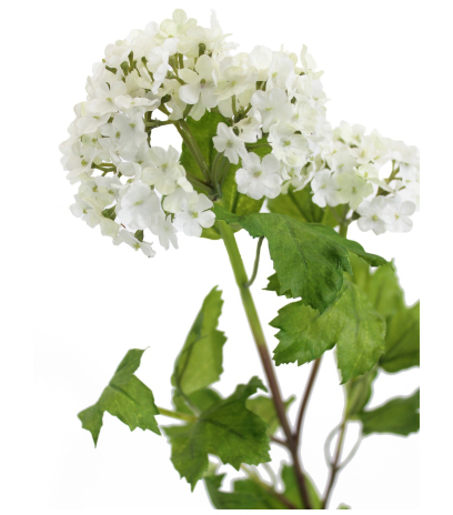 Viburnum artificiel opulus