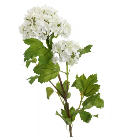 Viburnum artificiel opulus