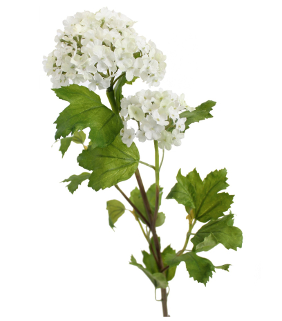 Viburnum artificiel opulus