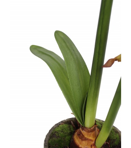 Amaryllis artificiel pot terre