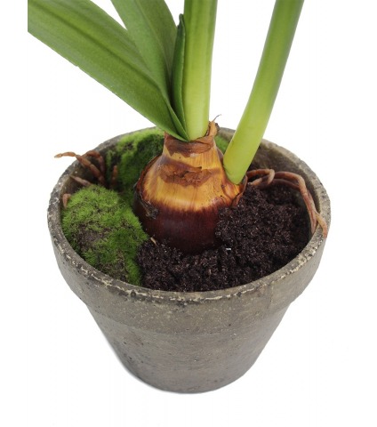 Amaryllis artificiel pot terre