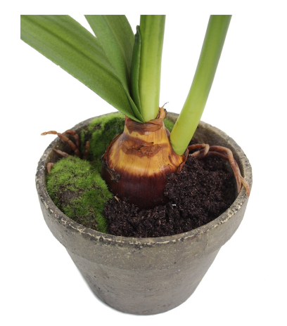 Amaryllis artificiel pot terre