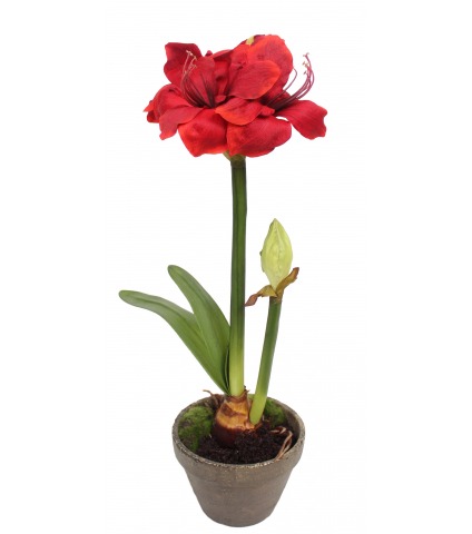 Amaryllis artificiel pot terre