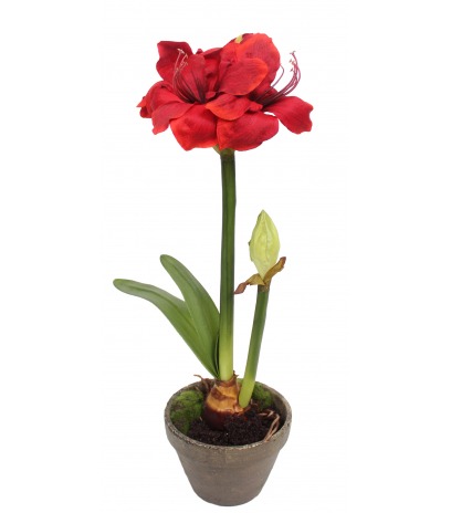 Amaryllis artificiel pot terre