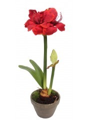 Amaryllis artificiel pot terre