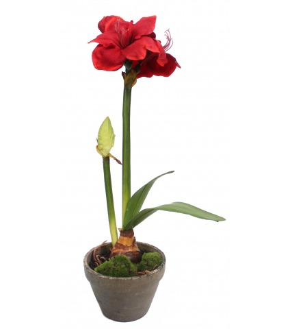 Amaryllis artificiel pot terre