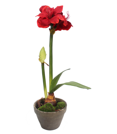 Amaryllis artificiel pot terre
