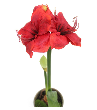 Amaryllis artificiel pot terre