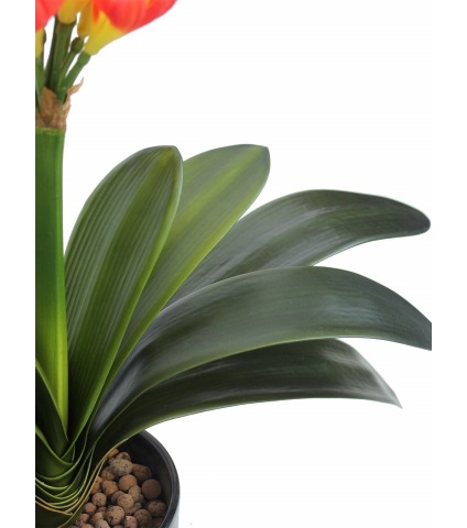 Clivia artificiel