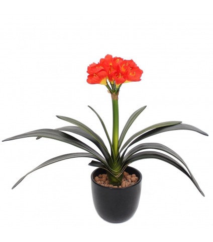 Clivia artificiel