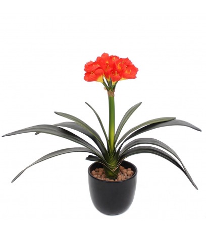 Clivia artificiel