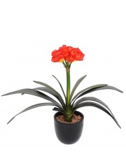 Clivia artificiel