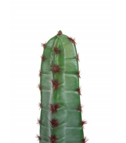 Cactus euphorbe artificiel