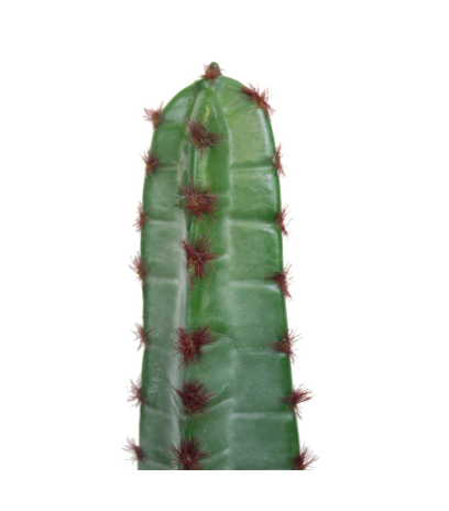 Cactus euphorbe artificiel