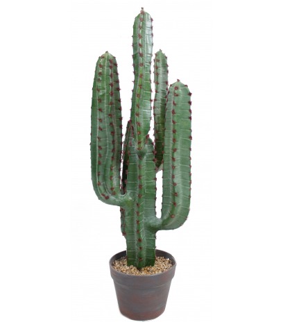 Cactus euphorbe artificiel