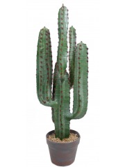 Cactus euphorbe artificiel