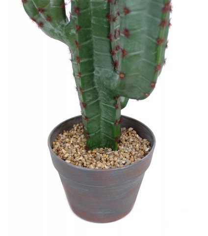 Cactus euphorbe artificiel