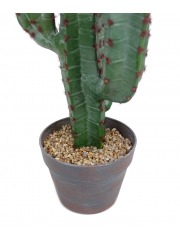 Cactus euphorbe artificiel