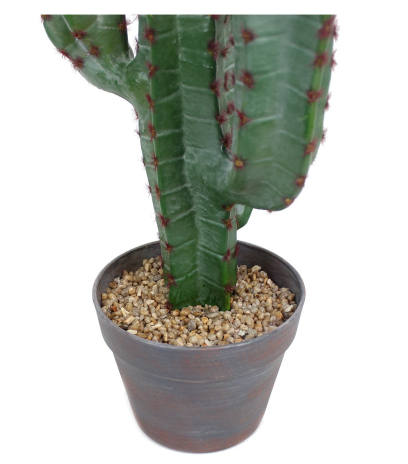Cactus euphorbe artificiel